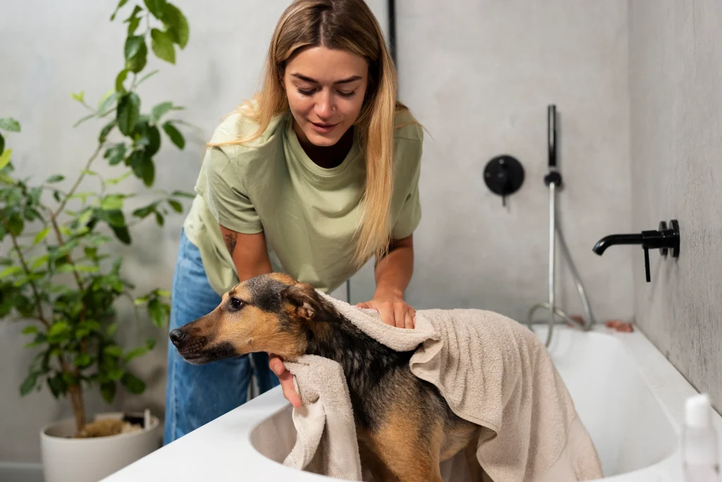 Pet Spa